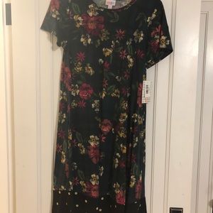 Lularoe Floral Polka Dot Dipped Carly Xs